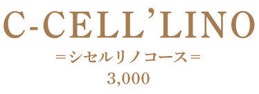 シルクの泡パック